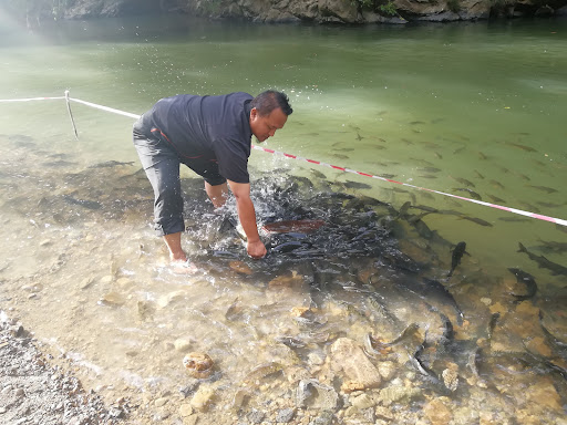 Sg. Moroli Fish Spa