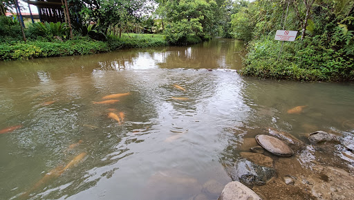 Bombon Kg. Marakau (Fish Spa)