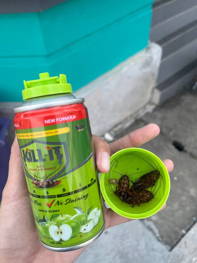 Spray Lipas KiLL-iT Malaysia