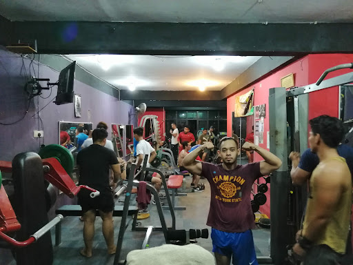 Muscle Academy Gym & Fitness