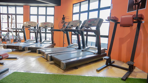 Lean Muscle Gym (Fitness, Protein, Supplements & Personal Trainer)