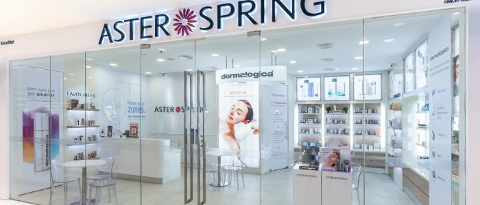 Aster Musim Semi – Bunga Berwarna Cerah untuk Taman & Hiasan
