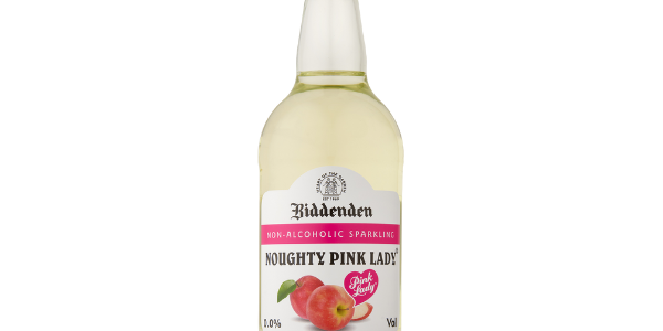 Foto Pink Lady Bidor – Fesyen Moden dengan Gaya Feminin & Elegan