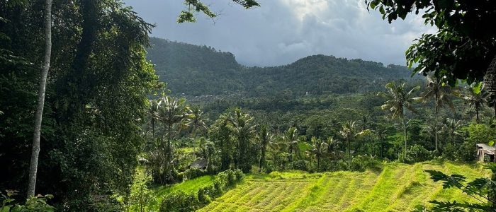 Tinie Beauty Spa – Rawatan Muka & Badan Premium, Relaksasi & Kecantikan Terbaik