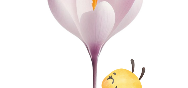 Saffron Terapi Holistik: Manfaat Kesihatan, Penggunaan dalam Rawatan Semulajadi